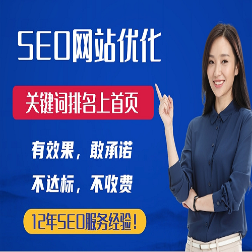 SEO网站百度搜索优化搜狗搜索结果内容排名