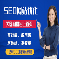 SEO网站百度搜索优化搜狗搜索结果内容排名