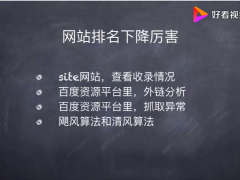 如何进行网站诊断