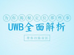 台湾某数据中心的UWB人员定位系统演示
