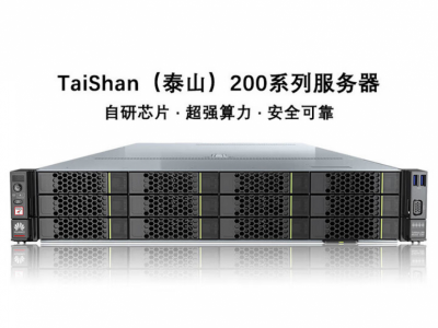 华为(TaiShan 200)2280国产服务器deepseek 70B鲲鹏920*2/64G*12/1.92T*2/8T*1/Atlas 300I Duo 96G*4